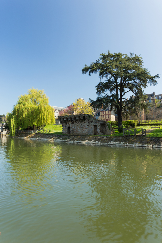 Barque à rames 5 places